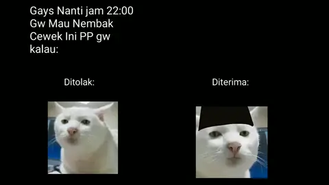 #fyp #meme 