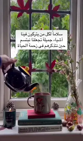 كلمات بسيطة  جبرت خاطري هنيئا لمن جبر خواطرنا فجبر الخواطر عبادة#اكسبلورexplore 