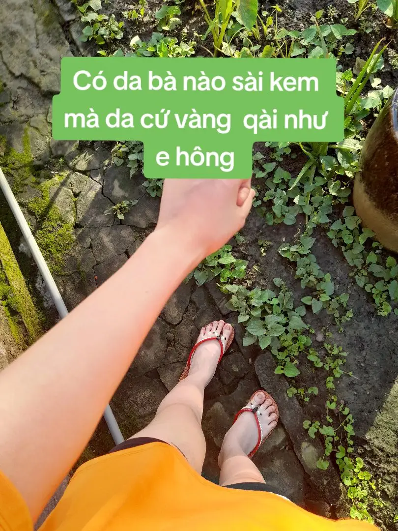 Có bà nào da vàng giống em hông 🤧#kemtron #kemtrontrangda #xuhuongtiktok #kembodytrangda #xuhuong #kemtrangda #kembody 