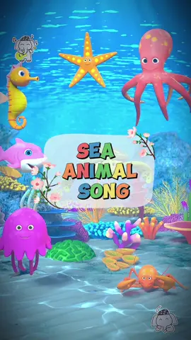 Sea Animal Song #trending #learnenglishdaily #cocomelon #thebestsongforchildren #kidsoftiktok #nurseryrhymes #LearnOnTikTok 