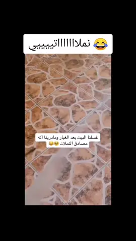 #دويتو مع @👩🏻‍⚕️🎀 نملاتي ههههههه #السعودية #جديد #جدة_الان #مصر #جميل #نمل #نملاتي #مضحك 
