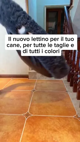 10% di sconto nel sito #petbeds #dogbed #dog #dogsoftiktok #doglove 