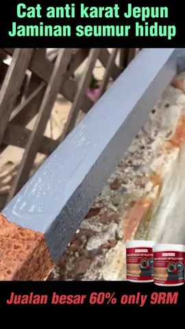 Cat anti karat berkualiti tinggi melindungi objek logam dari semasa ke semasa#fyp #trending #antirust #rustpaint #tiktok 