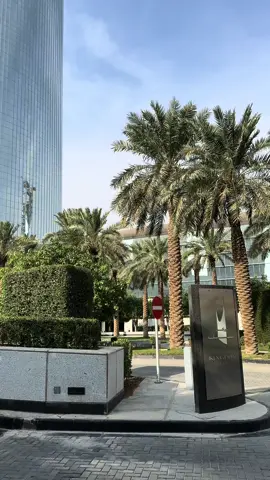 Saudi Arabia Riyadh a very welcoming country ❤️🇸🇦🇸🇦🇸🇦🇸🇦🇸🇦🇸🇦 #PlacesToVisit #TravelTheWorld #riyadh #riyadhseason #riyadh🇸🇦 #riyadhtiktokers #blevard_world @Lovin Dubai @SAUDIA @Riyadh Season @Kingdom of Saudi Arabia 🇸🇦 