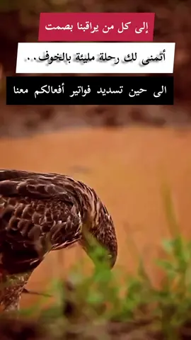 #الصقر🦅 #اقتباسات_عبارات_خواطر #خواطر_مكتوبة #اكسبلور #اكسبلورexplore @الصقر 