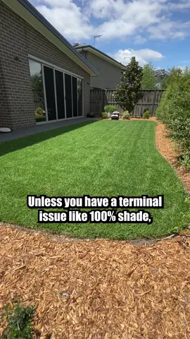 Check out my @Turf and Tools page if you want to see all the gear I try out. Simple steps to a beautiful lawn.  #tools #lawns #Home #garden #turfandtools #timthelawnmowerman #lawndad #lawnmower 