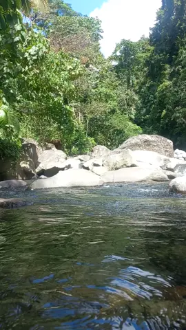 Stress Reliever #mountainprovince💚 #naturevibes #riverswimmingtime👍 #relaxingvideo 