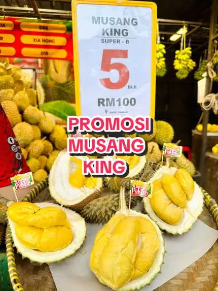 Promosi Musang King Durian PakTeh sudah bermula 💛 📢 Promosi Musang King Super B (LIMITED)  ✅ 5 Biji RM100 📢 Promosi Musang King Super A (LIMITED)  ✅ 4 Biji RM100 📢 Promosi Musang King Super AA (LIMITED)  ✅ 3 Biji RM100 🖐️ Special utk 100 orang TERAWAL... PROMOSI BERMULA JAM 12.00PM - sehingga habis stok... Grab sebelum HABIS STOK 😋😋😋 ⏱️ Waktu Operasi : 10.00 pagi - 11.00 malam 🏪 BUKA SETIAP HARI  #paktehfruitsviral #paktehfruits #syurgabuahseluruhdunia #kedaibuahviral #durianpaktehfruits #MakanLokal #kedaibuah #durian 