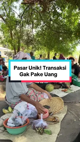 Pasar Unik, Gak Pake Uang Buat Transaksi. Yap namanya adalah Pasar Barter, salah satu pasar tradisional yang sejak lama masih dipertahankan hingga sekarang terutama mengenai nilai tukar dan beli. Salah satu pasar barter yang bisa dengan mudah kita jumpai ada di pulau lembata. Salah satunya yakni pasar barter Wulandoni. Pasar barter Wulandoni yang ada di Desa Wulandoni, Kecamatan Wulandoni, Kabupaten Lembata, Nusa Tenggara Timur ini sudah eksis sejak 1837. Selain masih menggunakan sistem barter, beberapa Keunikannya yakni adanya tiupan peluit panjang yang menandai dimulainya tukar-menukar barang. Pasar barter juga menjadi titik simpul yang mengeratkan tali persaudaraan antar-pengunjung. Mereka yang datang dari pesisir didominasi umat Islam, sedangkan yang dari gunung mayoritas penganut Katolik. Kamu pernah melihat pasar barter dimana lagi? #pasarbarterwulandoni #pasarbarter #lembata #pulaulembata #ntt #pasar #traveling #traveler #bacakpacker #lewoleba #wulandoni 