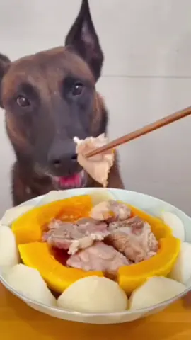 dog eat so cute and love  #dogeat #eat #dog #viralvideo #funny #tiktok 