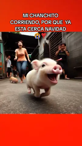noooo vuelve chanchito 😅 #chanchito #navidad #humor #viral #parati #fyp #tendencia #chancho #pig 