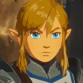 #link #linkthelegendofzelda #zeldatotk #thelegendofzelda 