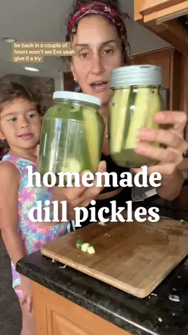 Recipe is below! These homemade dill pickles are really yummy!! Big hit with the whole fam.Recipe is by @glowwithella  Let me know if you try them!! Thanks for watching 🫶🏽 ————— 𝕙𝕠𝕞𝕖𝕞𝕒𝕕𝕖 𝕕𝕚𝕝𝕝 𝕡𝕚𝕔𝕜𝕝𝕖𝕤 Ingredients: 3 chunky cucumbers, sliced lengthwise 2 cloves of garlic, smashed 1.5c apple cider vinegar (or white vinegar) Big handful of fresh Dill 2T peppercorns 2T pure maple syrup 2t salt Jalepeno, sliced (optional) 3c hot water Instructions:  Add everything to a big jar, (or two jars) and top with the hot water. Refrigerate, and enjoy after a few hours! They get better with time so leave em in the fridge!  ————— #homemadepickles #homemadepicklerecipe #dillpickles #picklesrecipe #cleaningredients #cleaneating #healthyliving 