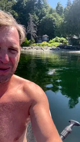 About a month ago, I crossed paths with an incredible friend during my hike by the river – a fascinating fish! Nature's surprises never cease to amaze. 🐟🌿  #joshlucas #real #fyp #nature #Hiking #fypage 