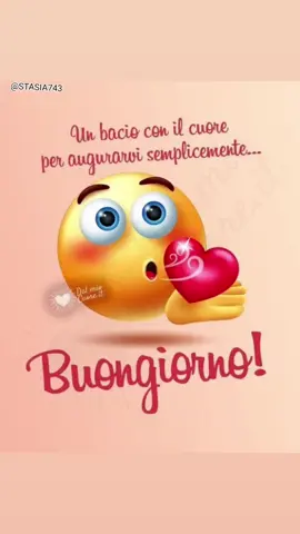 BUONGIORNO 🤗☕🥰😘 #stasia743 #buongiorno☕🥐🍩 #buonagiornata🌞 #felicegiornata #bonjour #buenosdias #goodmorning #giorno #baci #😘#rek #foryou #fyp #tiktok
