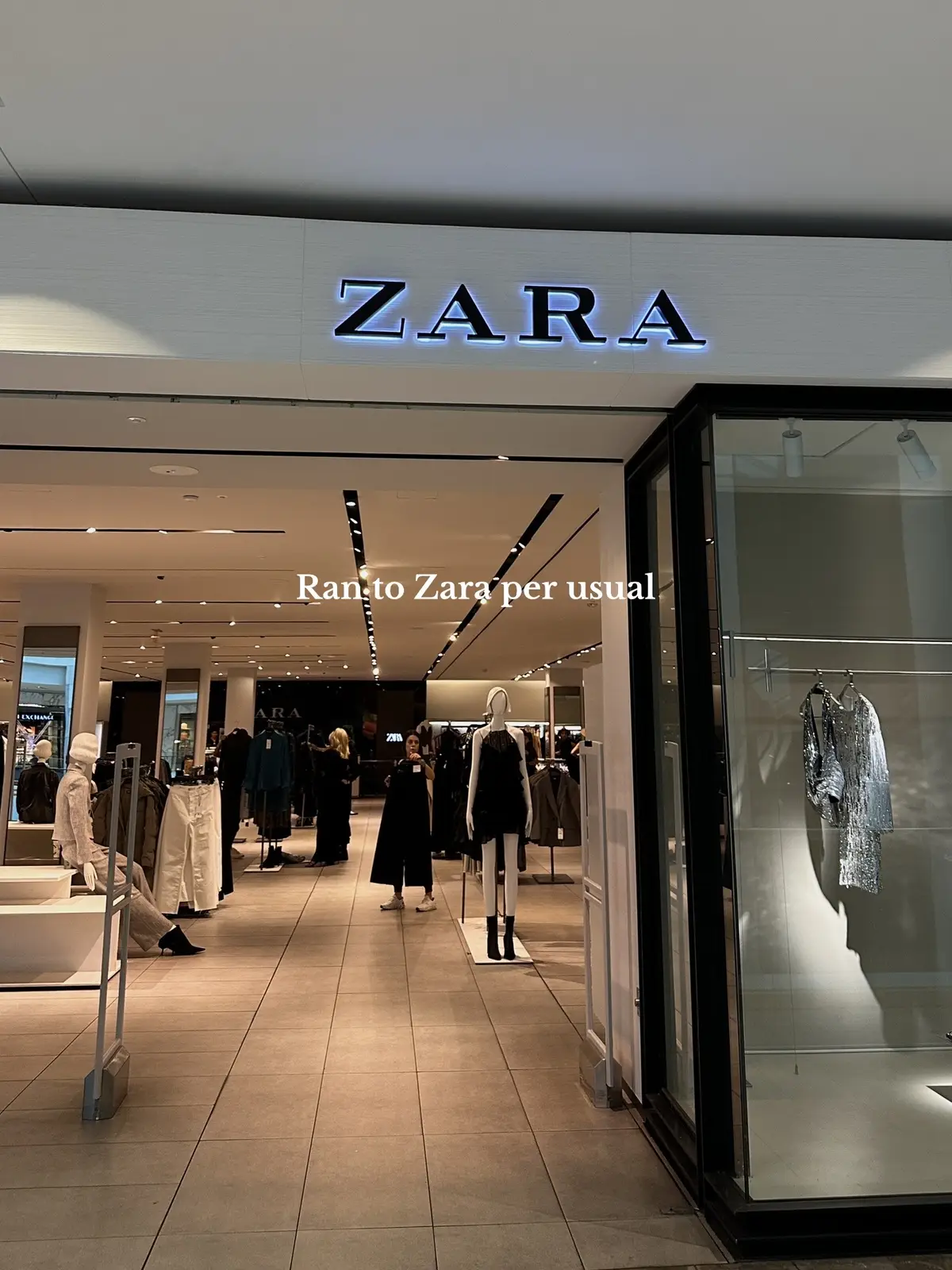 Lets just say, run to Zara #zarahaul #zara #winterfashion #winter 