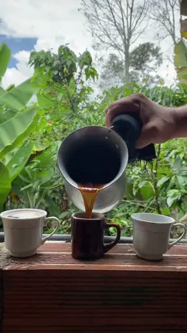 El Proceso del Cafe en Colombia ☕🤤🌱👨‍🍳🍯 | LosMasFamosos ¿Sabias de donde viene el cafe🌱 y el tinto que tomas todos los dias? En este video te mostramos como se hace en el campo🌿, desde cuando se coje el cafe rojo o amarillo, luego se desbaba☀️, se lava, se seca, se tuesta, se muele y se infusiona☕ sacando asi la bebida mas famosa del mundo🤩. Los ingredientes son CAFE (y agua con panela para hacer el tinto). #losmasfamosos #cafe #coffe #coffeeaddict #coffetime #cafedemañana  #cafedamanha #comida #santander #boyaca #campo #campocolombiano  #colombia #tinto #cafecolombiano #cafecampesino #cafedelcampo #procesodelcafe #tomandotinto #tintico #bogota #cali #medellin #santamarta #cucuta #buenaventura #cartagena #barranquilla #tintomañanero