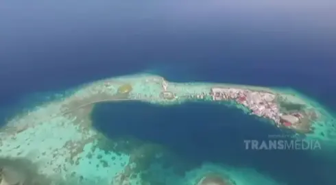 #serabeach #togean #togeanisland #travel #travelling #budgettravel #travelaroundtheworld #beach #beachvibes #papanisland #jellyfish #transtv #trending #fyp #viral #indonesia 