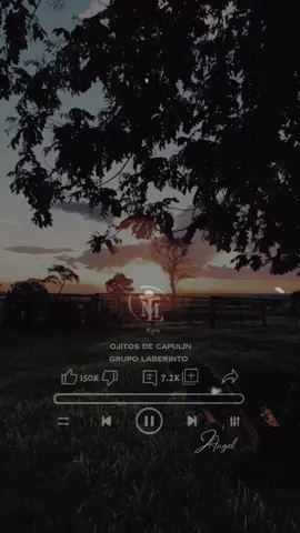 OJITOS DE CAPULIN- Grupo Laberinto #sigameparamasvideo #mlyris #fypシ 