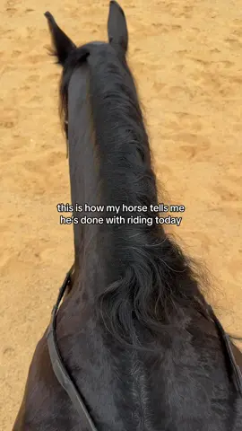 *sound on* Today was our first ride back, 15 minutes lunge, 20 minute ride, it was obviously too much for mr marcello 🤣🥺 #friesianhorse #equestrian #fypシ 