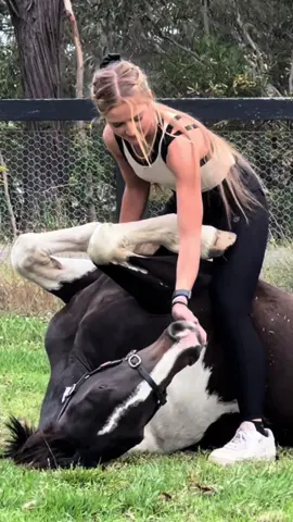 #dexter #horse #equestrian #girl