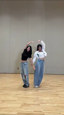 What it is~💕 #하롬 #새롬 #SAEROM #하영 #HAYOUNG #fromis_9 #프로미스나인 #fromis_9tok #flover 