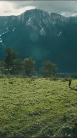 ARTHUR THE KING Trailer #trailer #MarkWahlberg #fyp #newmovie 