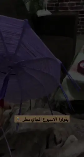 الذكرى السنوية 💜🌱 