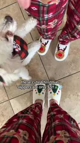 the cutest present😍🎁 #blackfridaydeals #christmasslippers #rockingaroundthechristmastree #cuteslippers #viralxmas 