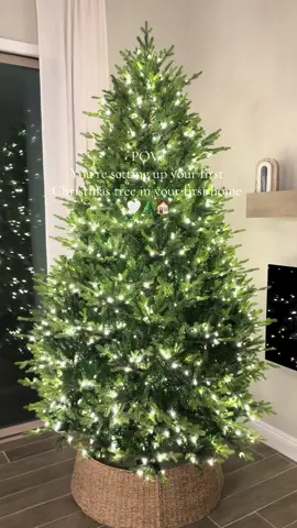 Such a special memory 🤍🌲 Kohen’s elf pajamas are my new favorite thing 😂 Now to decorate and put up the second tree ✨🎅🏼 #christmas #christmasdecor #christmastree #homedepottree #firstchristmas #couplestiktok #aesthetic #Home #homedecor #dogmom #dogdad #thatgirl #christmascountdown #hotchocolate #fyp #firsthome #firsthouse 