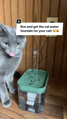 Cat parents run and get this water fountain its on sale! My cat loves it!😻                           #catwaterfountain #russianbluecat #fyp #catloveswater #catsoftiktok 
