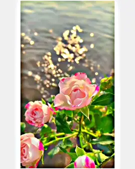 ভুলে যাওয়া ' কী এত সহজ.?🥺🖤🥀 #foryoupage #everyone #jlxgroup #fvt_song_liness #foruplzz #unfrezzmyaccount 