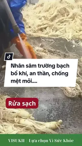 Nhân sâm trường bạch bổ khí, an thần, chống mệt mỏi....#visukhshop #nhansam #samtruongbach #nhansamtruongbach 