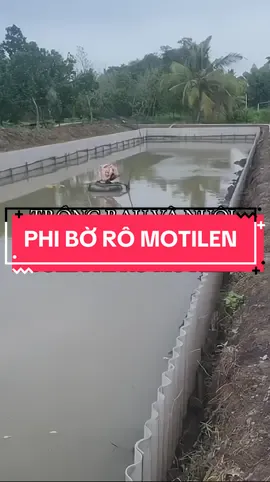 Trồng rau và nuôi ba ba. Tole phi bờ rô motilen chấn ao baba  #xuhuongtiktok #vatlieuxaydung #toleximang #tamximang