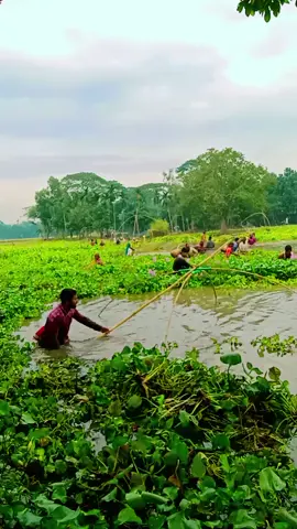 অনেক আইটেমের‌ মাছ‌ পাওয়া ধরা পরেছে 
