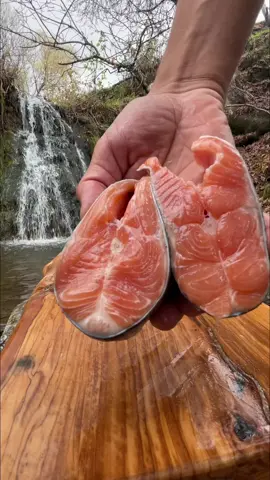 Salmon in the Forest?! 😍🔥 #salmon #fish #fishing #cooking #Recipe #nature #asmr 