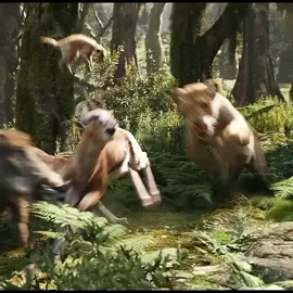 #nala #simbah #thelionking 