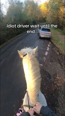 I wasn’t expecting this 😅 all it takes is two seconds ! It made my hands sweat just editing this video. #horsesoftiktok #horsetok #equestrian #horseriding #horsehackingout #horsehacking #hatcam #gopro #dangerousdriving #highwaycoderules #idiotdriver #viral 