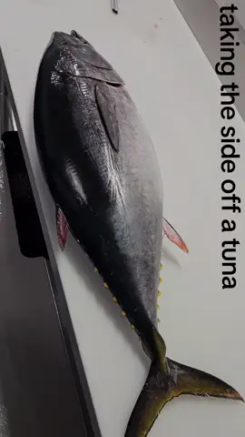 #tuna #bluefin #fishmonger #seafood #onthejob #fyp #foryoupage #foryou #wow #realfishmongersofinsta #filleting #filletingfish 