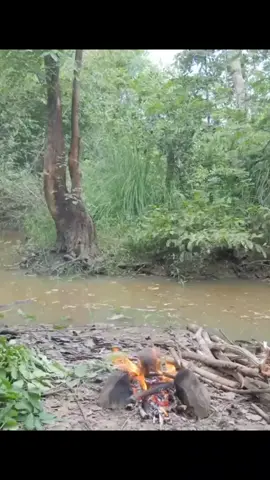 cow Intestine coocking Eating injugle 2 #primitive_technology #cooking #amazingvideo #eat #food_kmengprey #survival #challenge #foodtiktok #kmengprey #funnykmengprey 