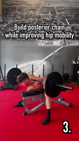Speed Secrets #lowbackpain #lowback #posture #lowbackability #training #lowbackpainrelief #hipmobilityexercise #backtraining #injuryprevention #shinsplints #shinsplintsrelief #Lowback #Fitness #lowbackmobility #athletics 