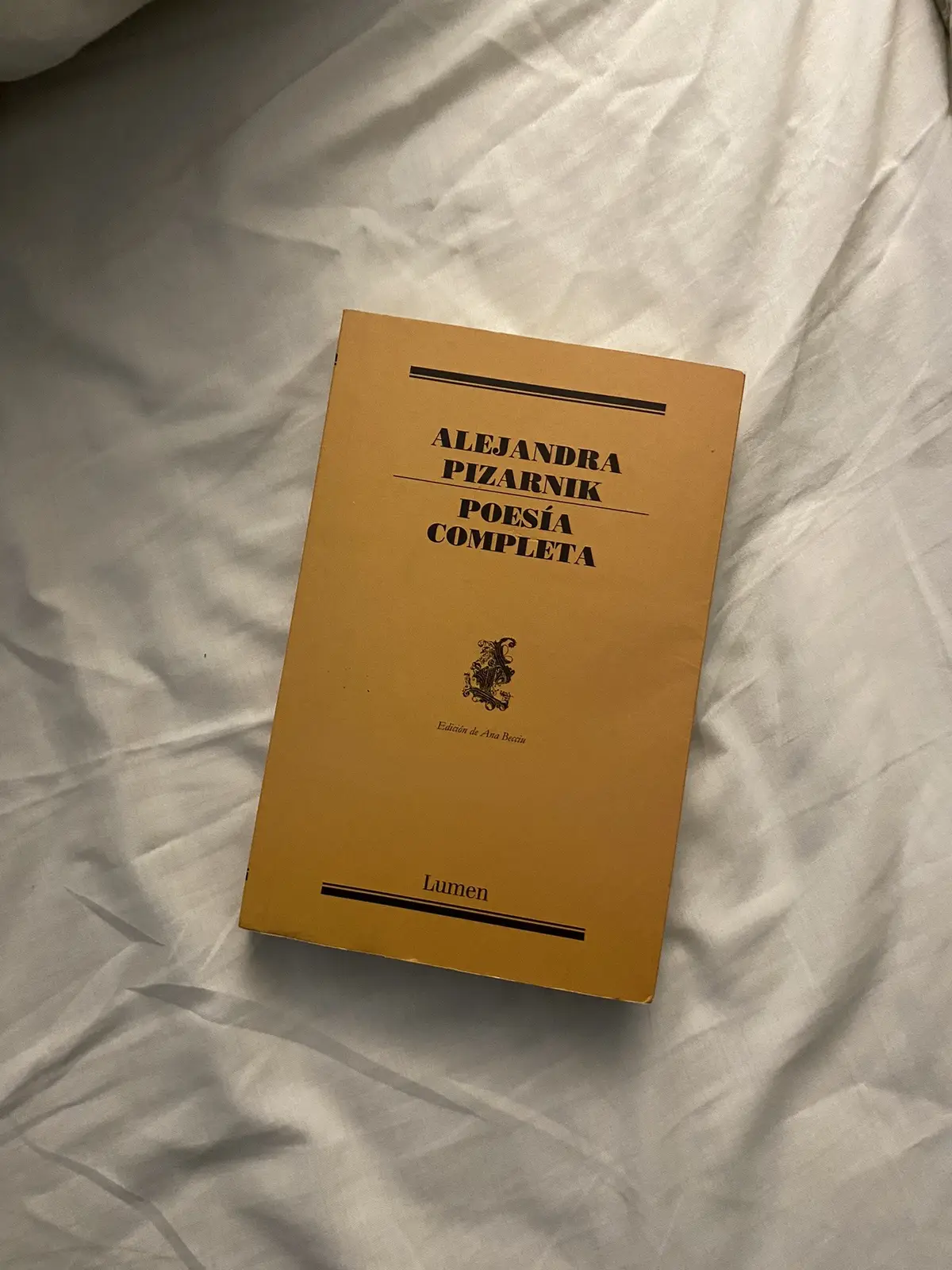 🥀❤️‍🩹 #fyp #fypp #fypage #parati #libros #BookTok #books #pizarnikpoemas #poemas #pizarnik #mitski 