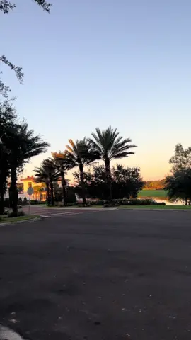 Lonely 765lt at sunset 