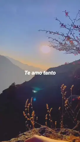 Te amo tanto | Jesse & Joe  Esta canción refleja la lucha de alguien reservado para expresar sus sentimientos. A pesar de la dificultad para verbalizar emociones, la persona se esfuerza por comunicar el profundo amor que siente. La letra juega con la idea de la dificultad de contar cuánto ama, utilizando metáforas como contar estrellas y sumar una más. Se destaca la incomodidad ante la cursilería, pero a pesar de ello, el deseo genuino de transmitir el afecto persiste a lo largo de la canción. #pareja #amor❤️ #creador #videomusi #teamo #teamotanto #jesseyjoy 