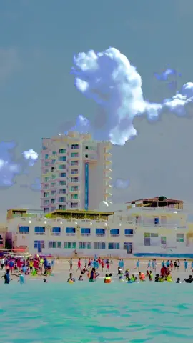 Xebta lido sidey uqurux badantahay cajiib muqdisho mcn#🥛💚🆎️❤