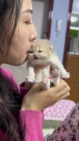 #😂 #cat 