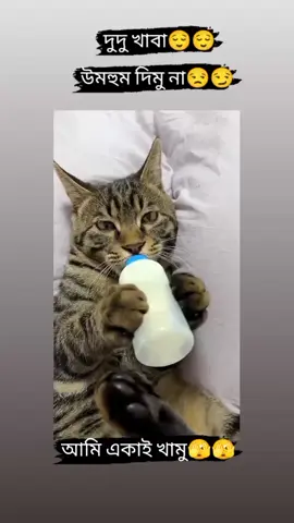 দুদু খাবা দিমু না☺️☺️☺️#foryou #foryoupage #vairal #tiktok #funny @TikTokBangladesh### @Tik Tok @Tiktok Bangladesh official 100 