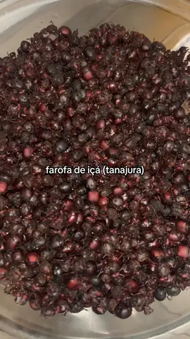 isso aqui é delicioso, voces nao tem ideia  . #tanajura #farofadetanajura #iça #içá #receitas #receitasimples #receitasfaceis #asmraesthetic #asmrcomendo #asmrcomida #asmrsom #atibaia #comidaindigena #comidadeinterior 