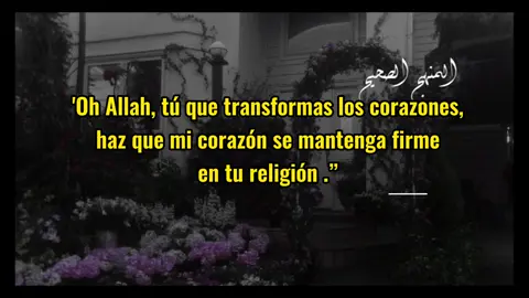 #islamesp #dawahsalafiyyah #islamespañol #islamenespañol #salafusaalih #sheikhibnbaz #ahlulsunnah 