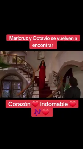 #corazonindomable #anabrendacontreras #danielarenas 